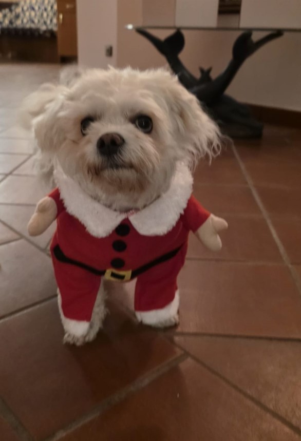 Dog Nana